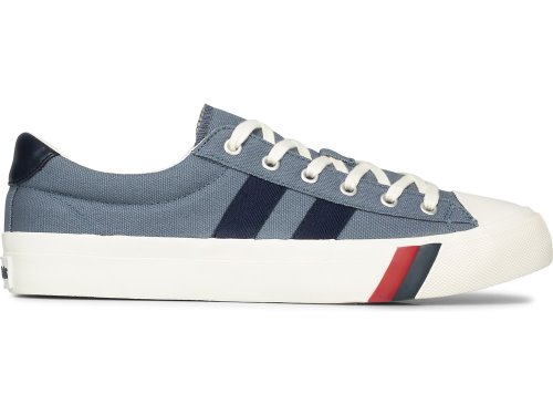 Pánské Tenisky Keds Royal Lo Plus Platene Blankyt | CZ-06533